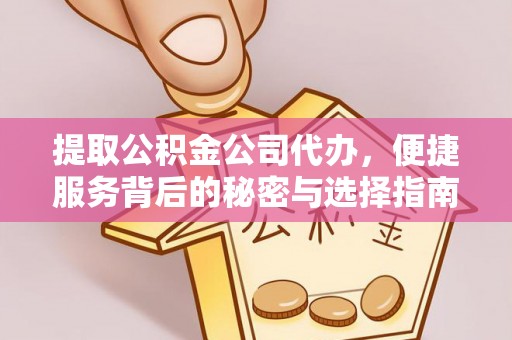 怒江提取公积金公司代办，便捷服务背后的秘密与选择指南