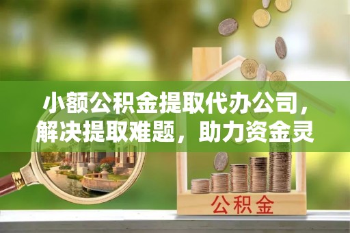 怒江小额公积金提取代办公司，解决提取难题，助力资金灵活使用