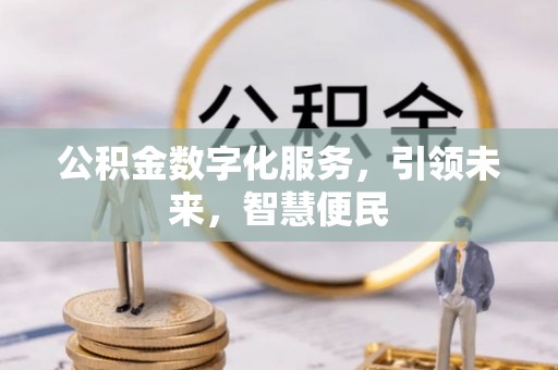 怒江公积金数字化服务，引领未来，智慧便民