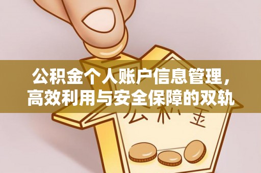 怒江公积金个人账户信息管理，高效利用与安全保障的双轨并行