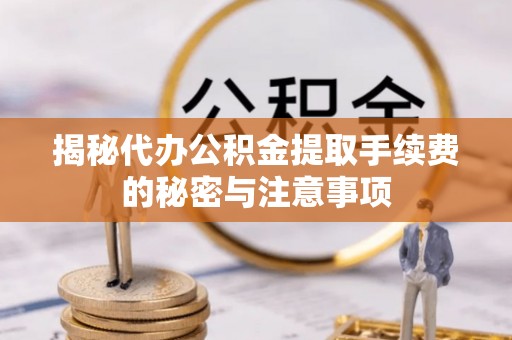 怒江揭秘代办公积金提取手续费的秘密与注意事项