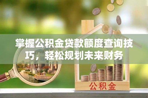 怒江掌握公积金贷款额度查询技巧，轻松规划未来财务
