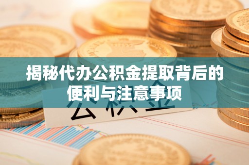 怒江揭秘代办公积金提取背后的便利与注意事项