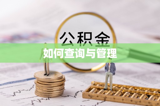 怒江如何查询与管理