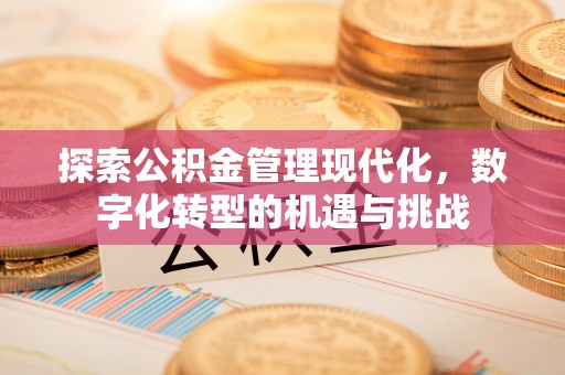 怒江探索公积金管理现代化，数字化转型的机遇与挑战