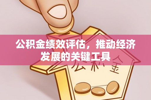 怒江公积金绩效评估，推动经济发展的关键工具
