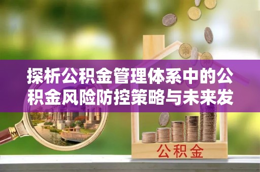 怒江探析公积金管理体系中的公积金风险防控策略与未来发展