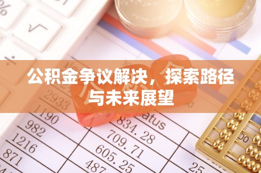 怒江公积金争议解决，探索路径与未来展望