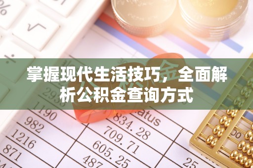 怒江掌握现代生活技巧，全面解析公积金查询方式