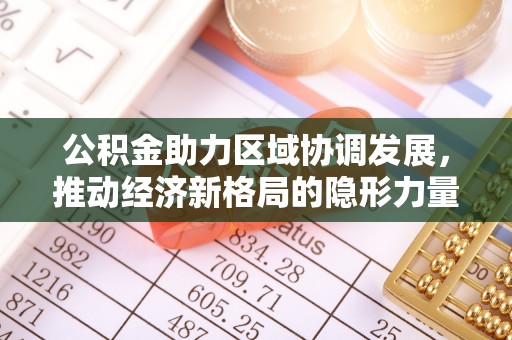 怒江公积金助力区域协调发展，推动经济新格局的隐形力量