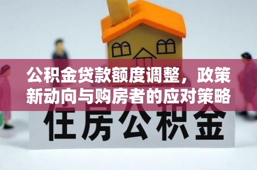怒江公积金贷款额度调整，政策新动向与购房者的应对策略