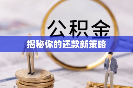 怒江揭秘你的还款新策略