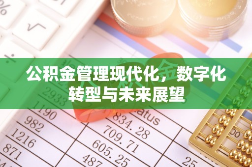 怒江公积金管理现代化，数字化转型与未来展望