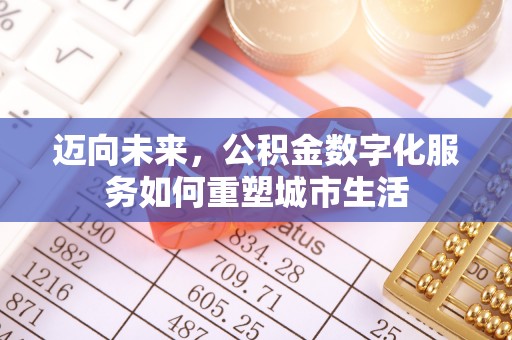 怒江迈向未来，公积金数字化服务如何重塑城市生活