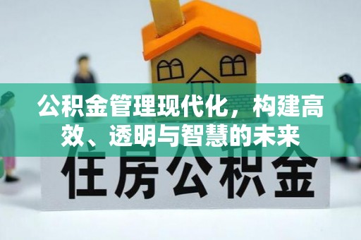怒江公积金管理现代化，构建高效、透明与智慧的未来