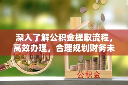 怒江深入了解公积金提取流程，高效办理，合理规划财务未来