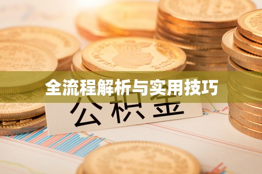怒江全流程解析与实用技巧