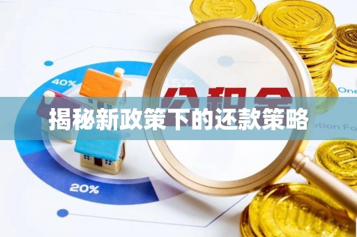 怒江揭秘新政策下的还款策略