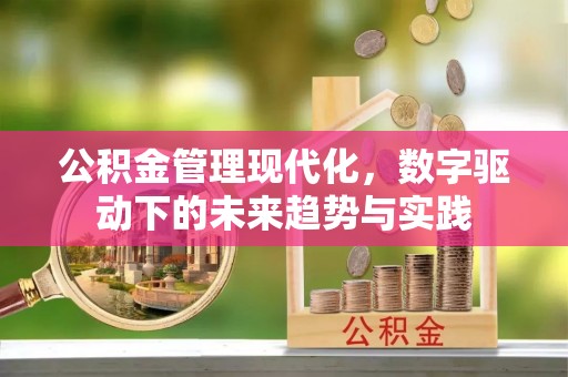 怒江公积金管理现代化，数字驱动下的未来趋势与实践