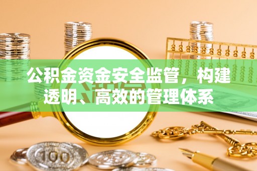 怒江公积金资金安全监管，构建透明、高效的管理体系