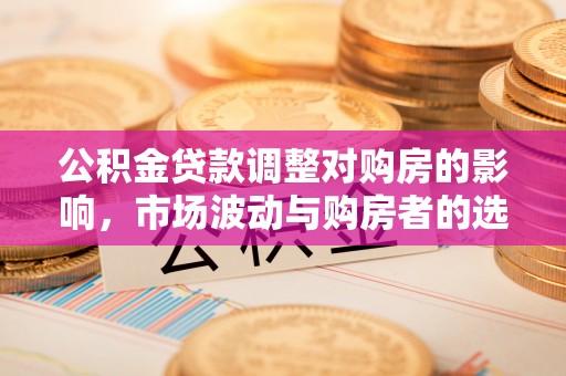 怒江公积金贷款调整对购房的影响，市场波动与购房者的选择