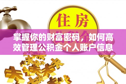 怒江掌握你的财富密码，如何高效管理公积金个人账户信息