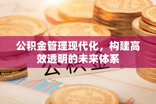 怒江公积金管理现代化，构建高效透明的未来体系