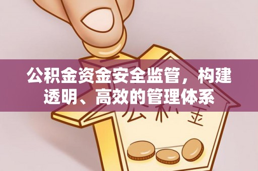 怒江公积金资金安全监管，构建透明、高效的管理体系