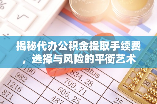 怒江揭秘代办公积金提取手续费，选择与风险的平衡艺术