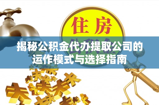 怒江揭秘公积金代办提取公司的运作模式与选择指南