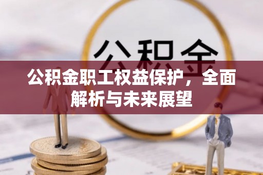 怒江公积金职工权益保护，全面解析与未来展望