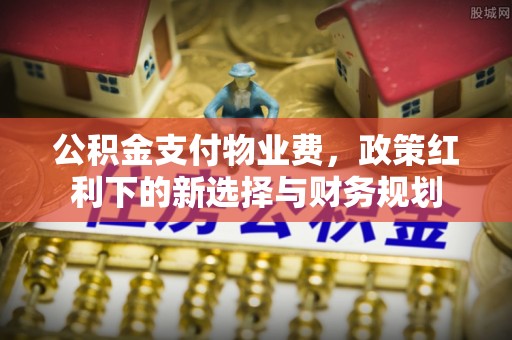 怒江公积金支付物业费，政策红利下的新选择与财务规划