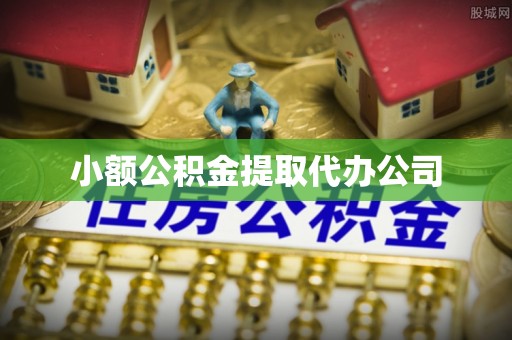 怒江小额公积金提取代办公司
