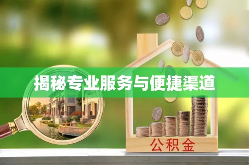 怒江揭秘专业服务与便捷渠道