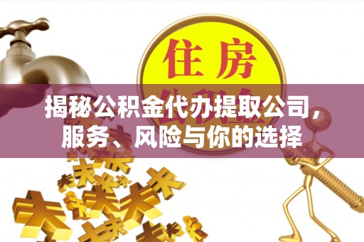 怒江揭秘公积金代办提取公司，服务、风险与你的选择