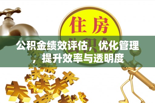 怒江公积金绩效评估，优化管理，提升效率与透明度