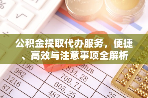 怒江公积金提取代办服务，便捷、高效与注意事项全解析