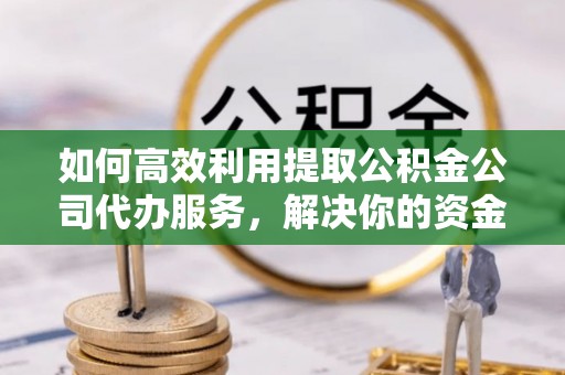 怒江如何高效利用提取公积金公司代办服务，解决你的资金难题