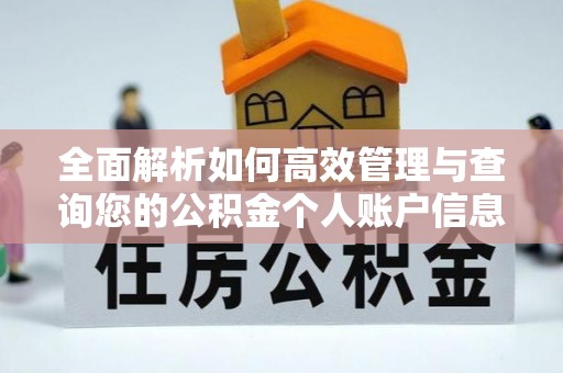 怒江全面解析如何高效管理与查询您的公积金个人账户信息