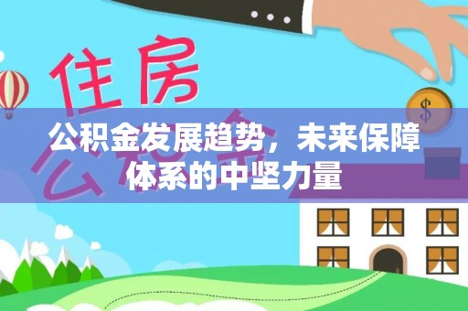 怒江公积金发展趋势，未来保障体系的中坚力量