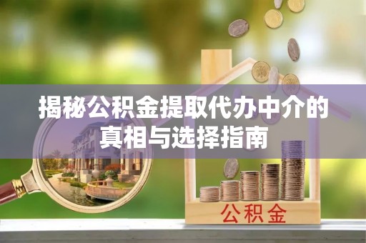 怒江揭秘公积金提取代办中介的真相与选择指南
