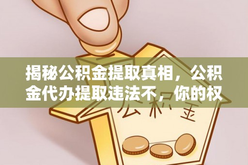 怒江揭秘公积金提取真相，公积金代办提取违法不，你的权益如何保障？