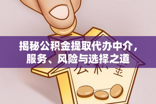 怒江揭秘公积金提取代办中介，服务、风险与选择之道
