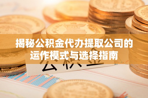 怒江揭秘公积金代办提取公司的运作模式与选择指南