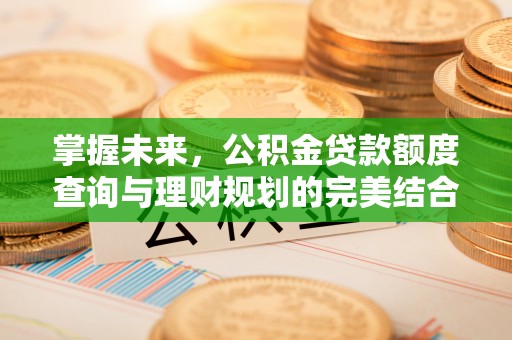怒江掌握未来，公积金贷款额度查询与理财规划的完美结合