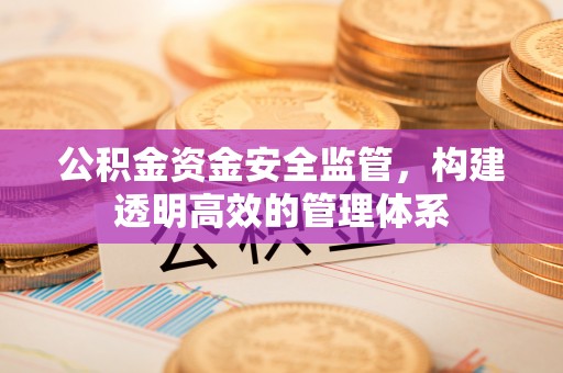 怒江公积金资金安全监管，构建透明高效的管理体系