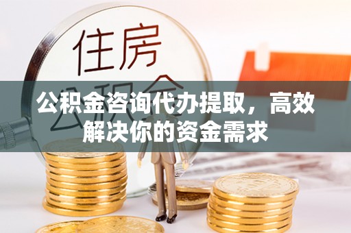 怒江公积金咨询代办提取，高效解决你的资金需求
