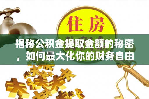 怒江揭秘公积金提取金额的秘密，如何最大化你的财务自由