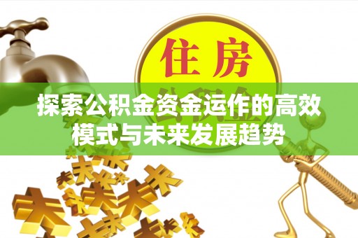 怒江探索公积金资金运作的高效模式与未来发展趋势