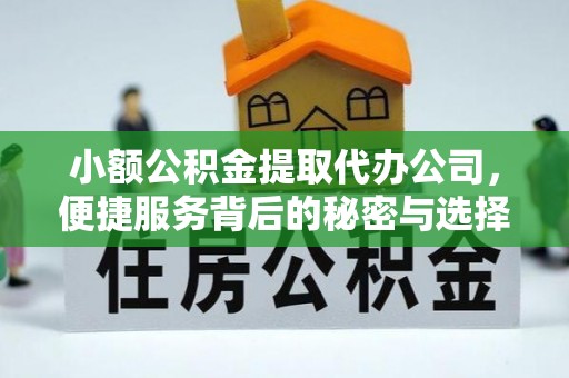 怒江小额公积金提取代办公司，便捷服务背后的秘密与选择指南